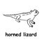 Kids line illustration coloring horned lizard. animal are just lines
