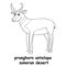 Kids line illustration coloring pronghorn antelope sonoran desert. animal are just lines