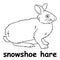 Kids line illustration coloring snowshoe hare. animal outline