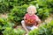 Kids pick strawberry on berry field in summer