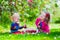 Kids picking cherry on a fruit farm garden