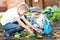 Kids planting strawberry seedling into fertile soil outside in garden