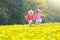 Kids play. Child in dandelion field. Summer flower