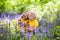 Kids playing in blooming garden with bluebell flowers