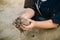 Kids playing in the clay muddy puddle field. This activity is good for sensory experience and learning by touch their fingers thro