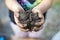 Kids playing in the clay muddy puddle field. This activity is good for sensory experience and learning by touch their fingers thro