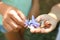 Kids playing with cute snails outdoors, closeup. Children spending time in nature