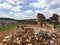 Kids playing on a dump field in Kibera slums