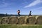 Kids playing at hay bales at pumpkin farm