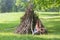 kids playing next to wooden stick house looking like indian hut, tepee