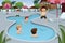 Kids playing in an outdoor swimming pool