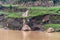 Kids playing on shoreline along Yangtze River, China