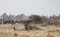 Kids playing in South Sudan