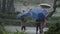 Kids in the pouring rain having fun jumping with umbrellas - slow motion