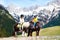 Kids riding pony. Child on horse in Alps mountains