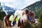 Kids riding pony. Child on horse in Alps mountains