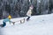 Kids riding sledding slide. Children on snow landscape, winter snowy fun activities. Sled speed riding or childhood