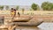 Kids on riverbank, Tonle Sap, Cambodia