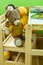 Kids room interior, wooden furniture set, teddy bear on chair, plush toys, books, crayons on table