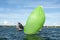 Kids sailing small sailboat head-on closeup with a fully deployed lime green spinnaker