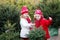 Kids selecting Christmas tree. Xmas gifts shopping.