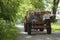 Kids Sitting On Back Of Trailer On Country Lane