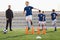 Kids on sports soccer training. Boys running balls and jumping over cones. Agility exercises for youths in football team