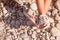 Kids summer sandals. baby shoes on stones beach. girl white fashion footwear, leather sandal ,moccasins.legs of