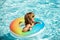 Kids summer vacation. Child swimming in pool. Kid having fun at aquapark. Funny boy on inflatable rubber circle