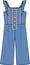 Kids and Teens Girls Wear Dungaree