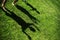 Kids with their shadows on grass. silhouettes of three persons standing with their hands stretched up