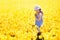 Kids in tulip flower field. Windmill in Holland