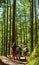 Kids walking in mountain