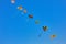 Kids wind kites on the blue sky