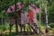 Kids wooden tree house with pink roof in summer forest