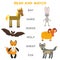Kids words learning game worksheet read and match. Funny animals bat hare horse wolf sheep fox Educational Game for Preschool Chil