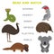Kids words learning game worksheet read and match. Funny animals ostrich snake parrot echidna platypus koala Educational Game for