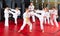 Kids working in pair, mastering kicks in karate class