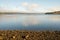 Kielder England: January 2022:Warm sun shining on a beautiful lake on Kielder Forrest Lakeside Way