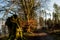 Kielder England: Mossy roots of tall trees in Kielder Forest with warm winter sun