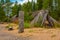 Kierikki Stone Age Centre in Finland