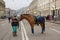 Kiev, Ukraine - December 28, 2017: Girl invites city residents will sweep on a horse