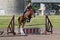 Kiev, Ukraine - June 09, 2016: Girl on a horse trained