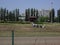 KIEV, UKRAINE - JUNE 19, 2022: Opening of the summer season at the hippodrome and the first races of French trotter horses