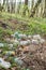 KIEV, UKRAINE - MARCH 27, 2019: Plastic trash in the forest. Tucked nature. Plastic container lying in the grass