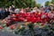 Kiev, Ukraine - May 9, 2016: Citizens lay flowers to the monument to the fallen soldiers