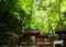 Kifune shrine of fresh verdure - Approach to Okumiya and itâ€™s gate, Kyo