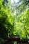 Kifune shrine of fresh verdure - Approach to Okumiya and itâ€™s gate, Kyoto, Japan