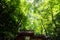 Kifune shrine of fresh verdure - Approach to Okumiya and itâ€™s gate, Kyoto, Japan