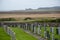 Kilchoman cemetery